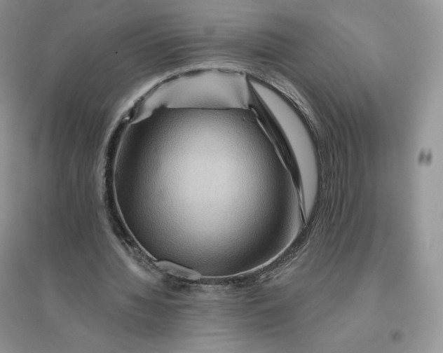 X0000096190436200802011410