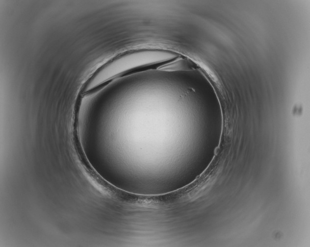 X0000096190437200802011410