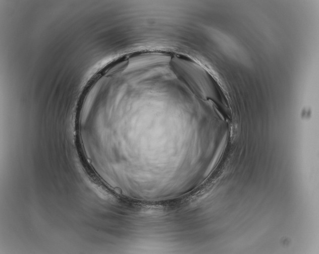 X0000096190438200802011410