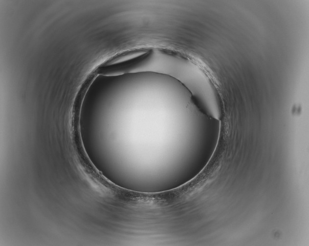 X0000096190439200802011410