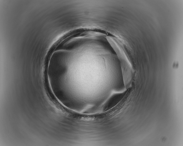 X0000096190440200802011410