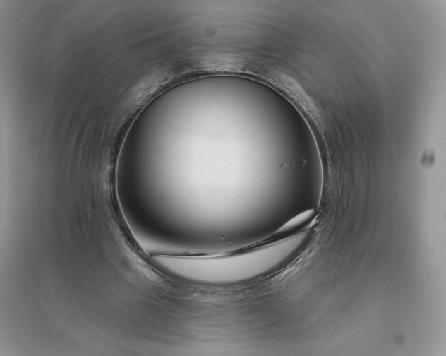 X0000096190441200802011410