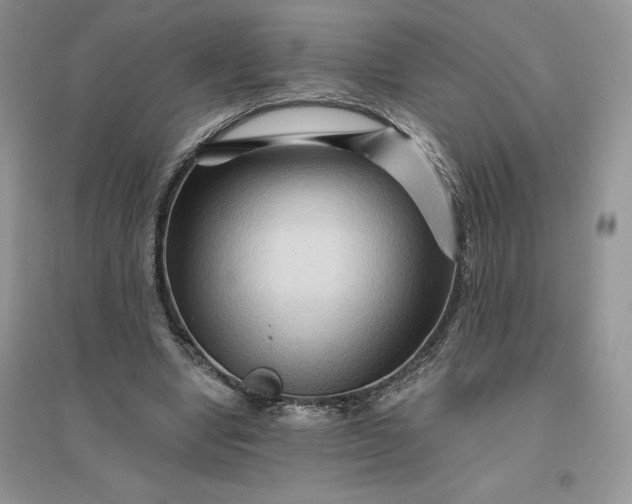 X0000096190442200802011410