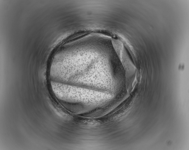 X0000096190443200802011410