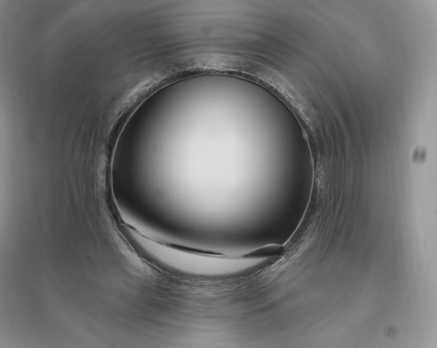 X0000096190445200802011410