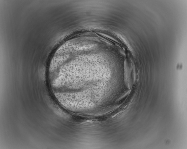 X0000096190447200802011411