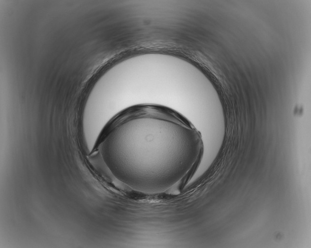 X0000096190448200802011411