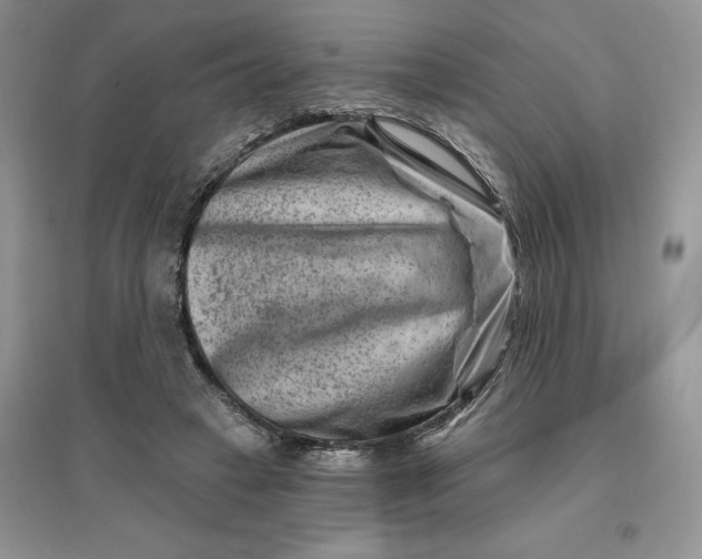 X0000096190449200802011411