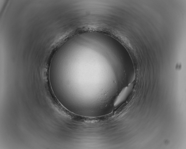 X0000096190450200802011411