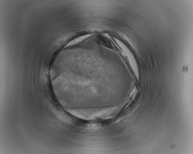 X0000096190451200802011411