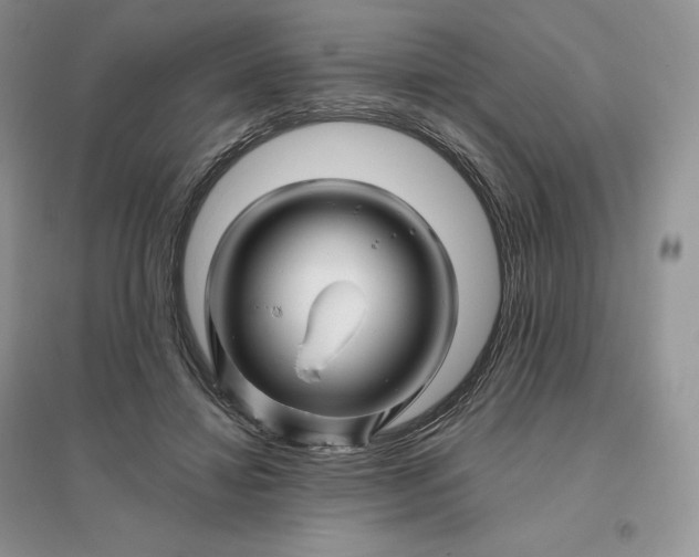 X0000096190452200802011411