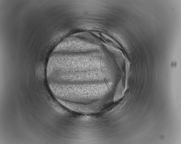 X0000096190453200802011411