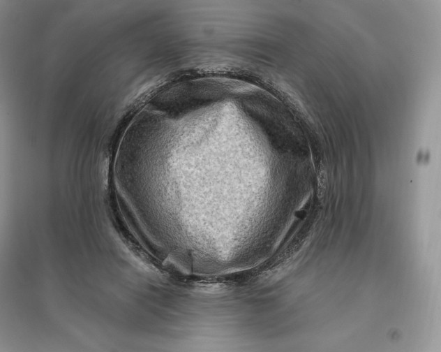 X0000096190454200802011411