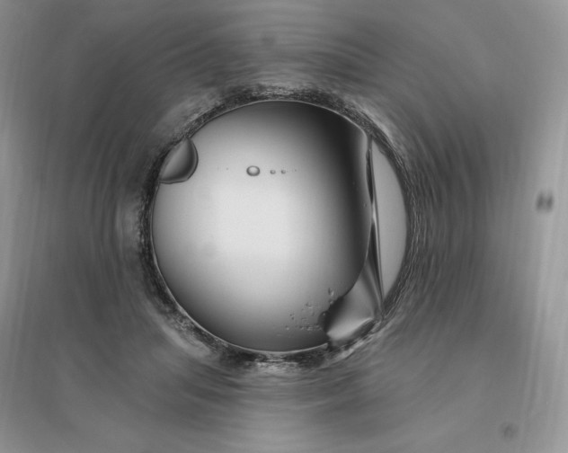 X0000096190455200802011411