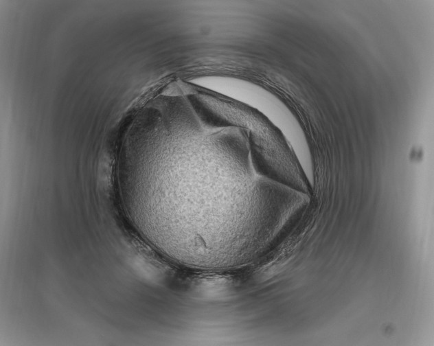 X0000096190456200802011411