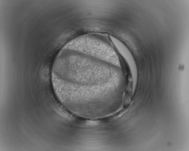 X0000096190457200802011411