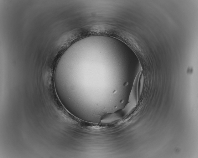 X0000096190458200802011411