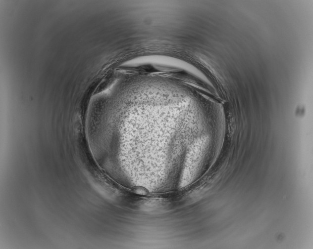 X0000096190459200802011411