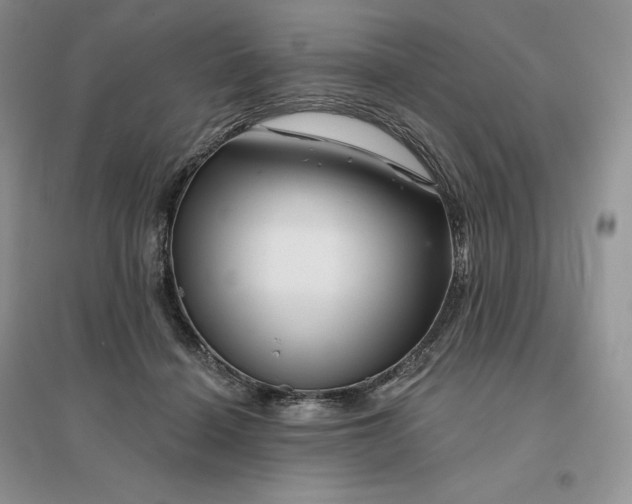 X0000096190460200802011411