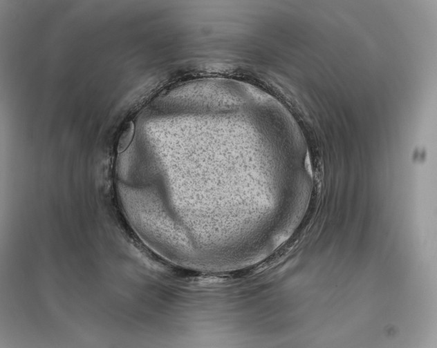 X0000096190462200802011411