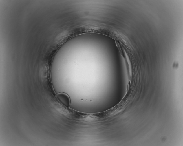 X0000096190463200802011411