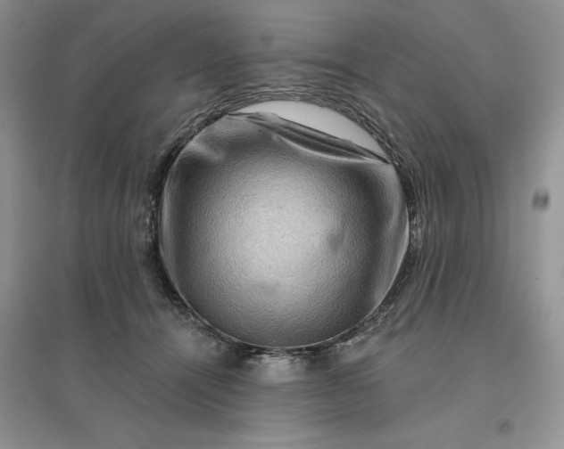 X0000096190464200802011411