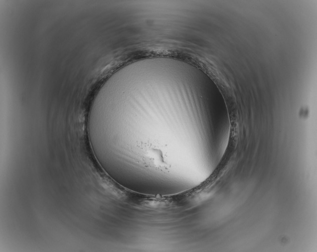 X0000096190466200802011411