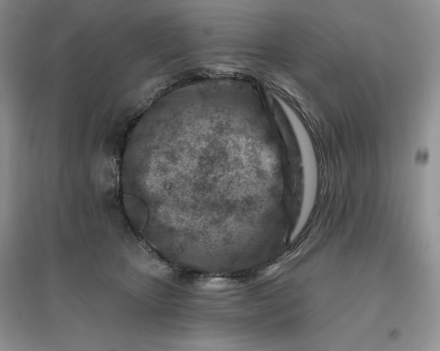 X0000096190467200802011411