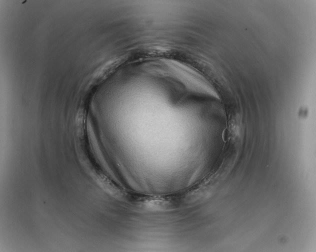 X0000096190468200802011411