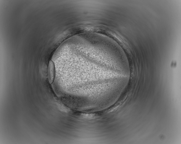 X0000096190469200802011411