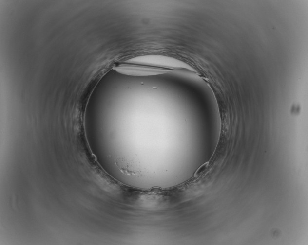 X0000096190470200802011411