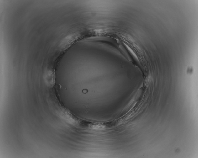 X0000096190471200802011411