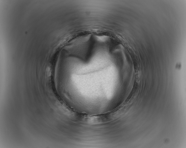 X0000096190472200802011411