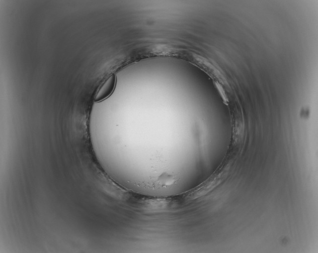 X0000096190473200802011411