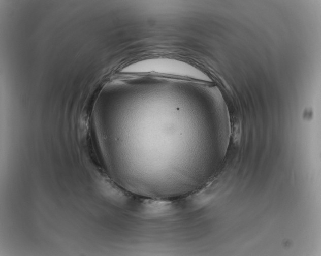 X0000096190476200802011411