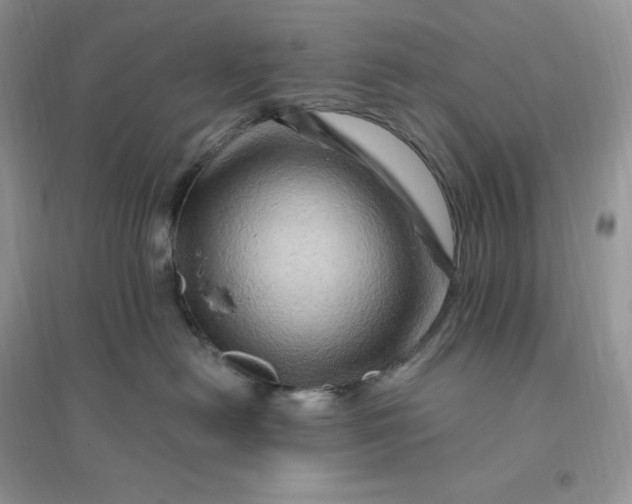 X0000096190478200802011411