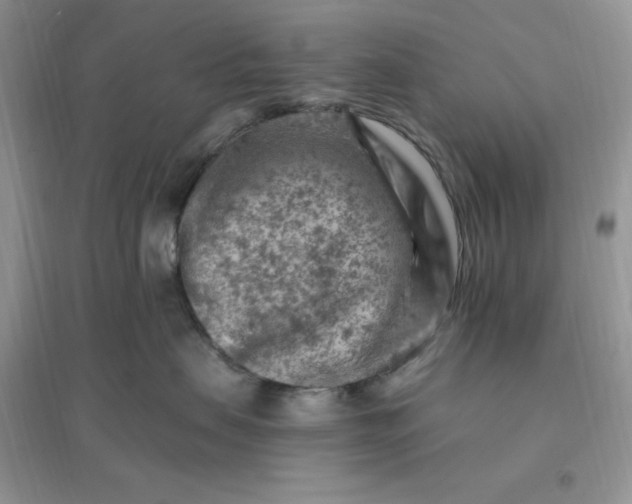 X0000096190479200802011411