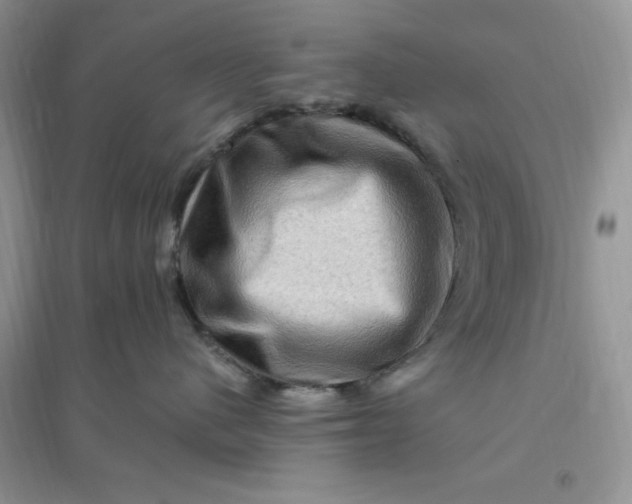 X0000096190480200802011411