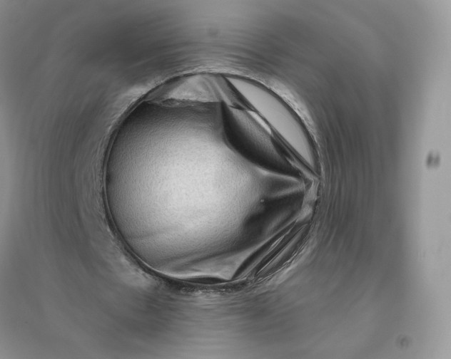 X0000096190481200802011410