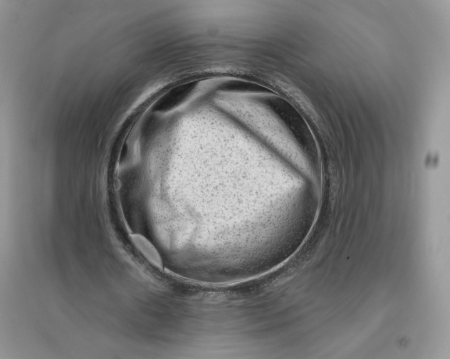 X0000096190482200802011410