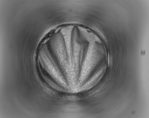 X0000096190483200802011410