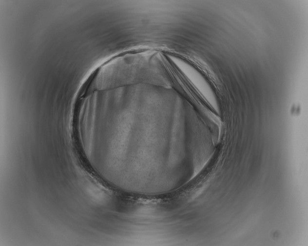 X0000096190484200802011410