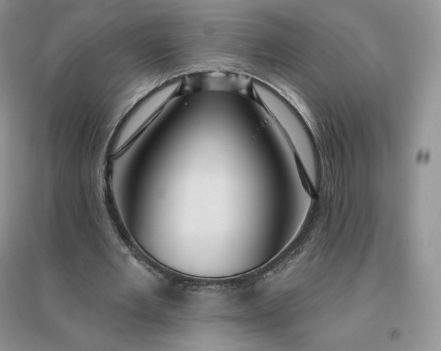 X0000096190485200802011410