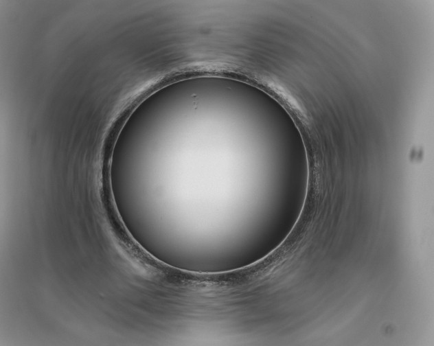 X0000096190486200802011410