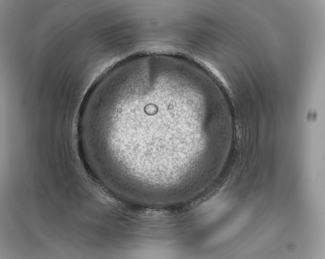 X0000096190487200802011410