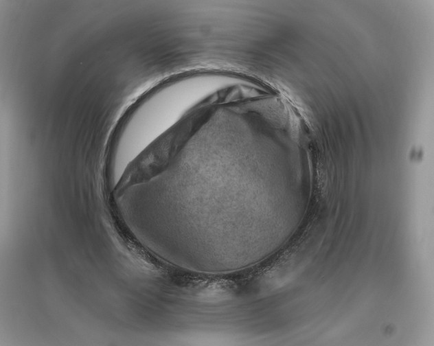 X0000096190488200802011410