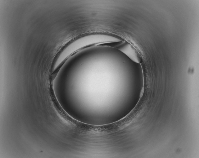 X0000096190489200802011410