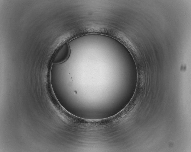 X0000096190490200802011410