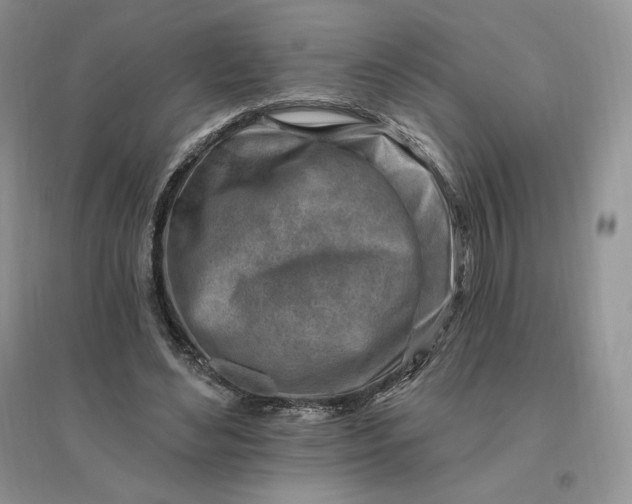 X0000096190492200802011410