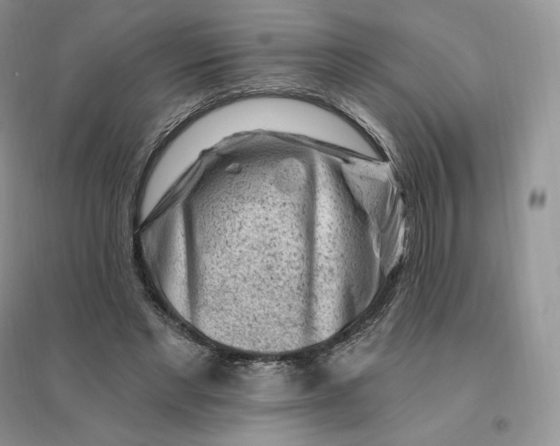 X0000096190493200802011410